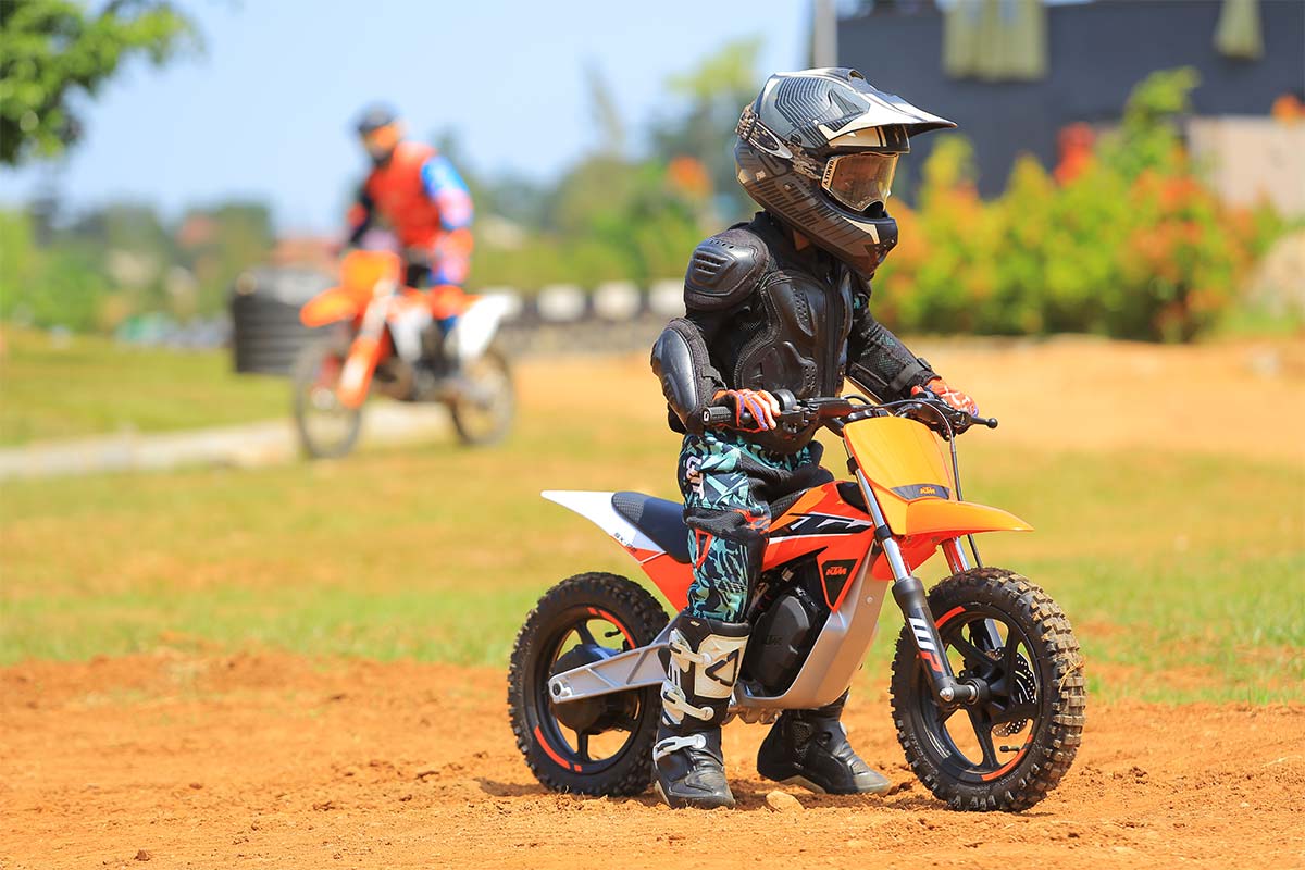 Electric Bikes